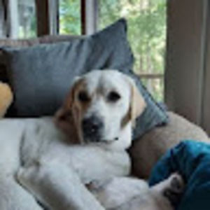 Meet your Posher, Annalyn